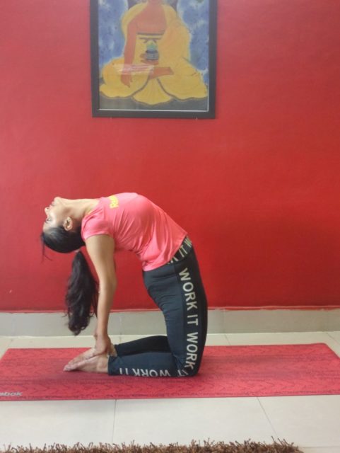 USHTRASANA-yoga-pose